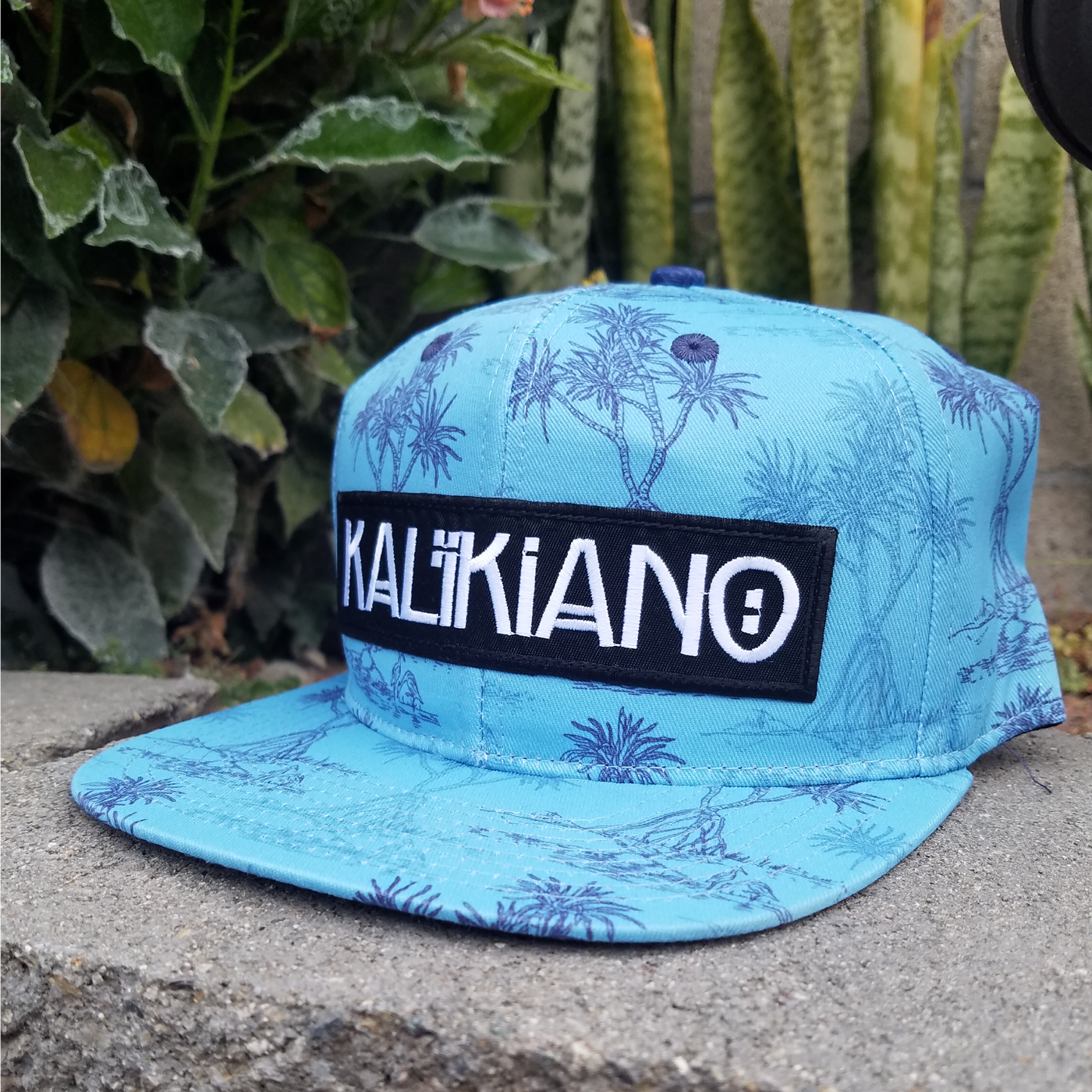 The Pine Snapback