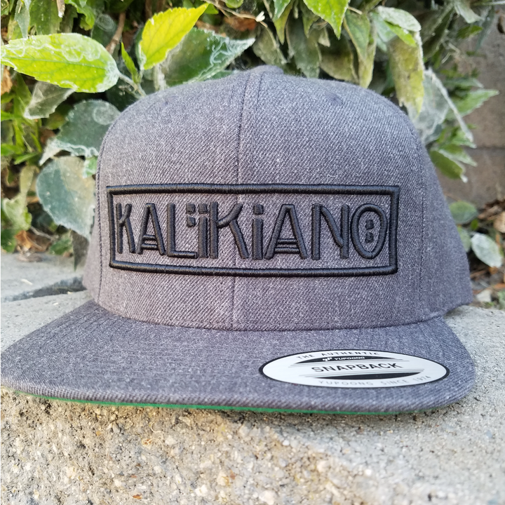 3D Signature Snapback