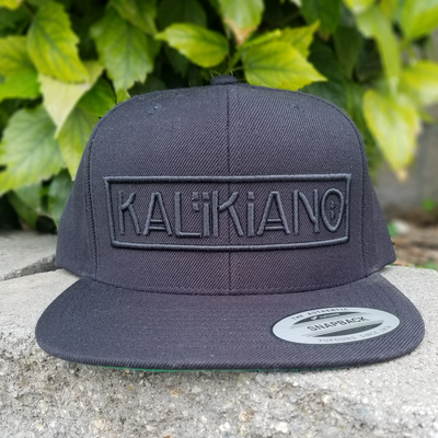 3D Signature Snapback