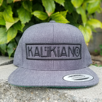 3D Signature Snapback