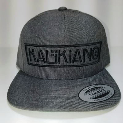 3D Signature Snapback